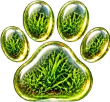 Canine365